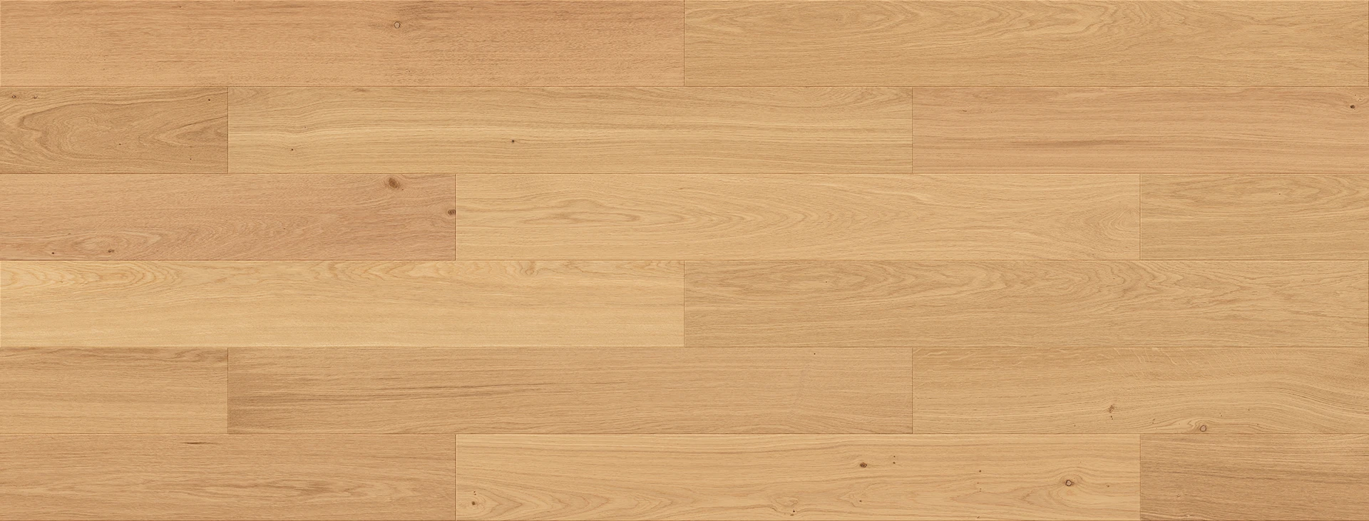 Dub Futuris Esthetic